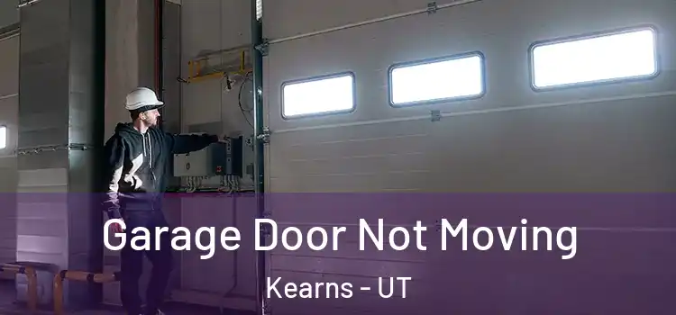  Garage Door Not Moving Kearns - UT