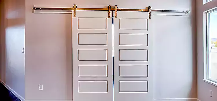 Glass Barn Door with Installation Hardware Kit Kearns